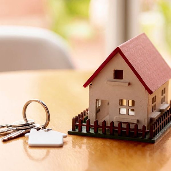 بانک شماره موبایل املاک استان کرمان